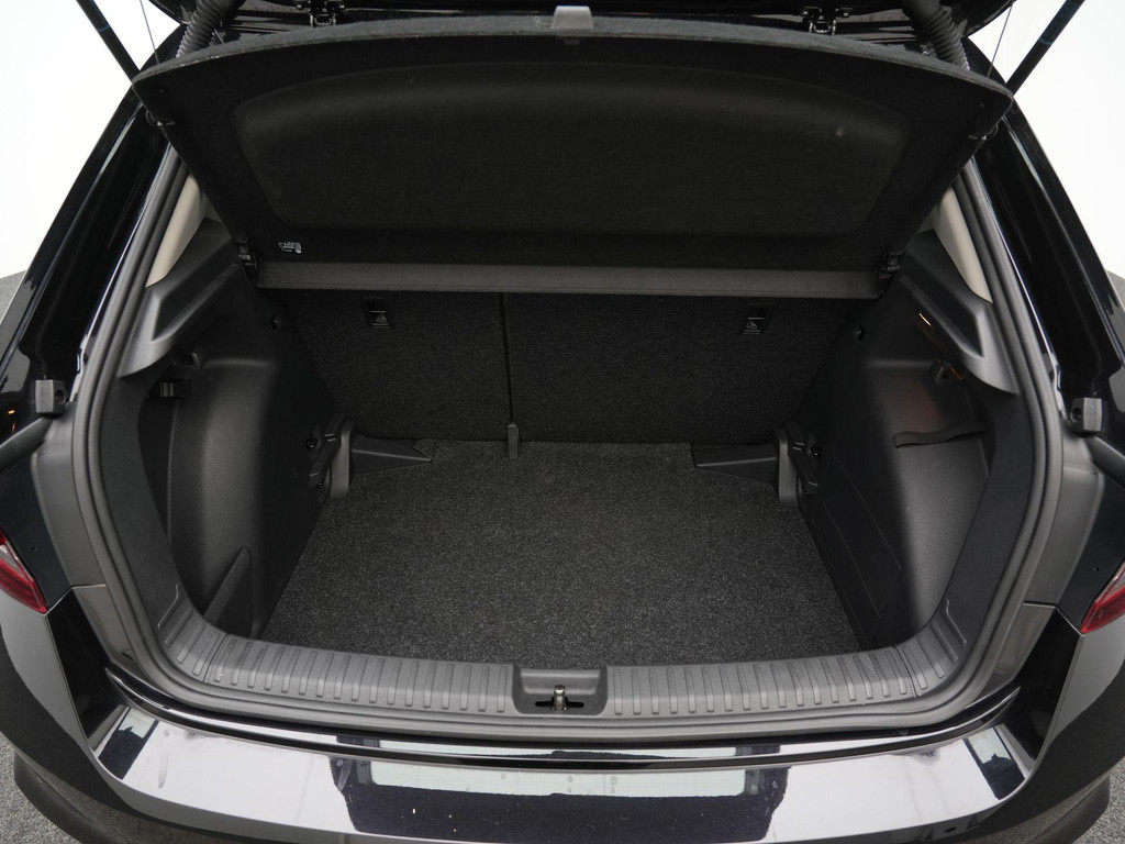 ŠKODA Fabia (GFX32B) met abonnement