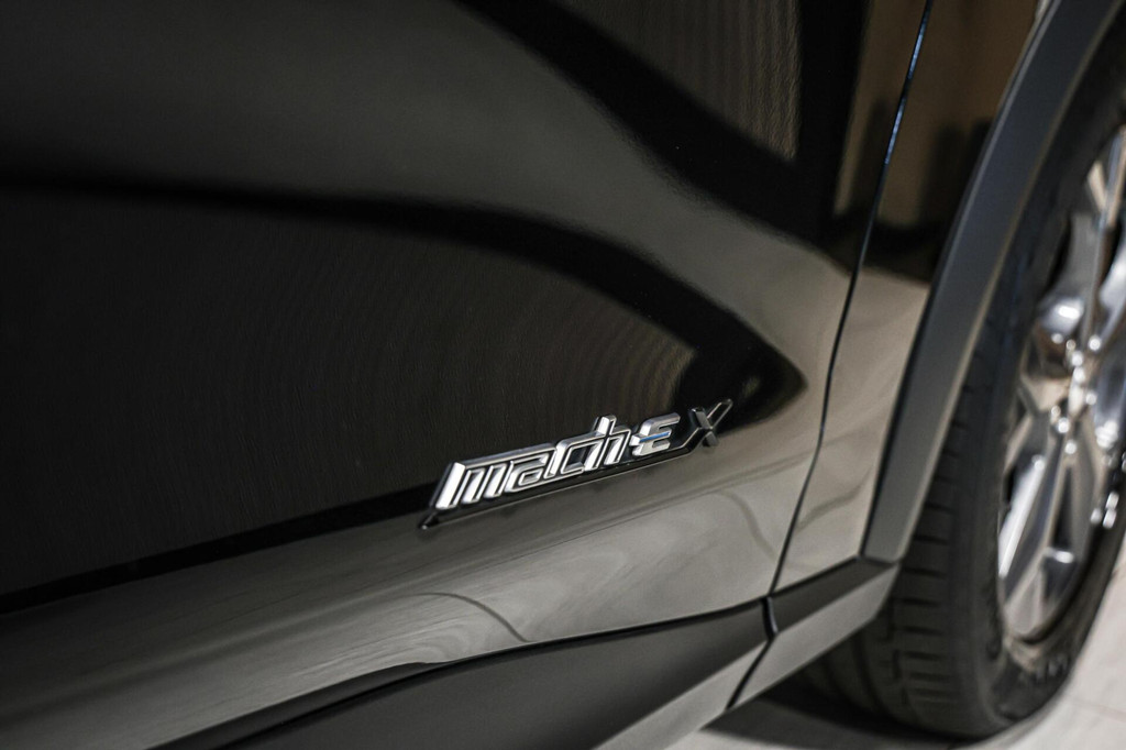 Ford Mustang Mach-E (N431DS) met abonnement