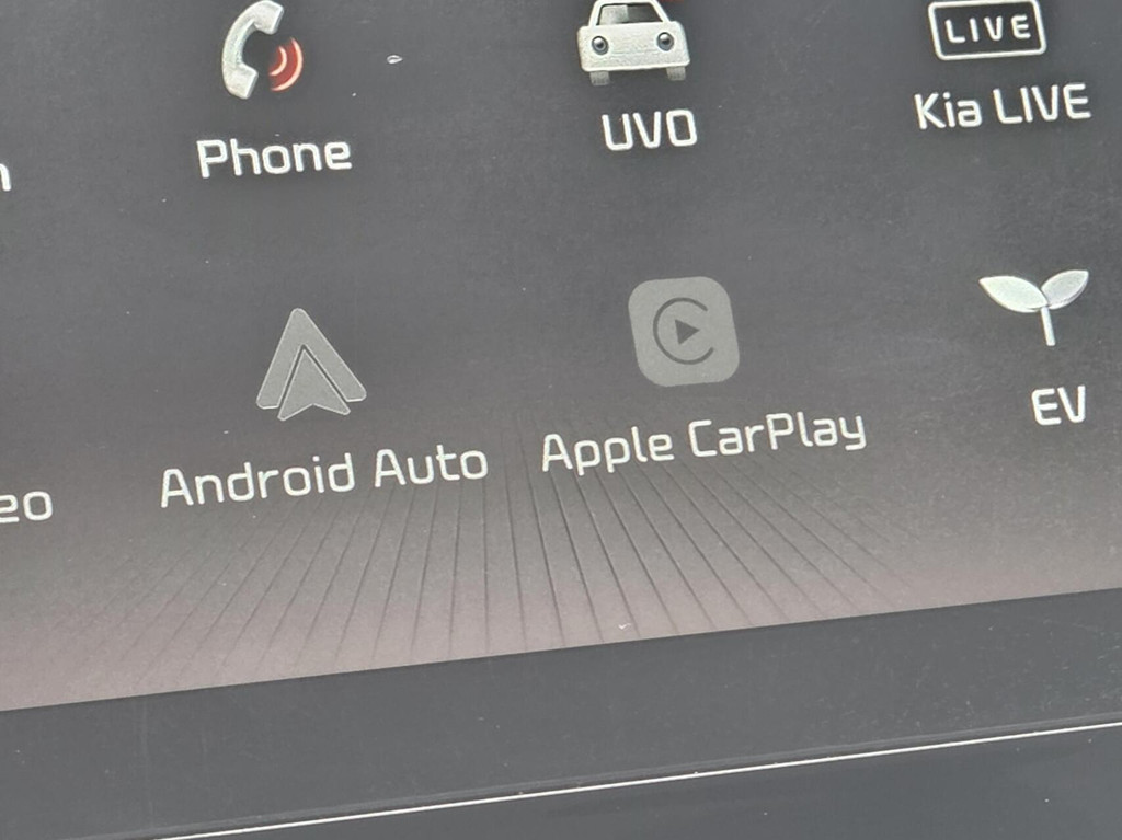 Kia e-Niro (L401KH) met abonnement
