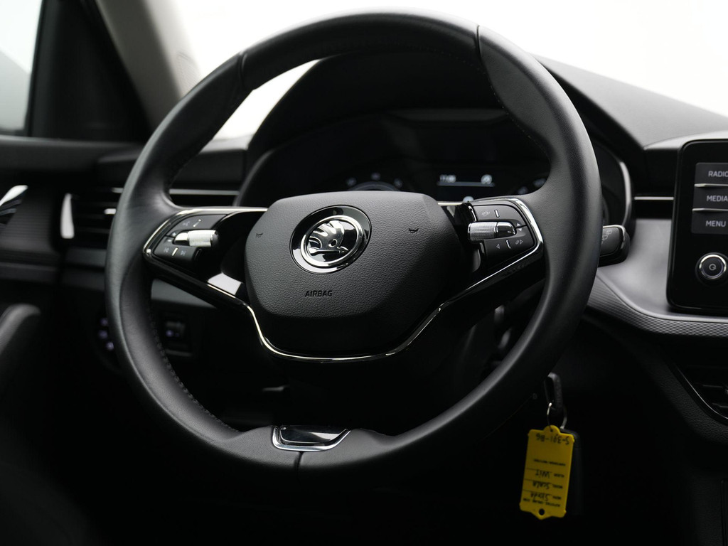 ŠKODA Scala (S391BG) met abonnement