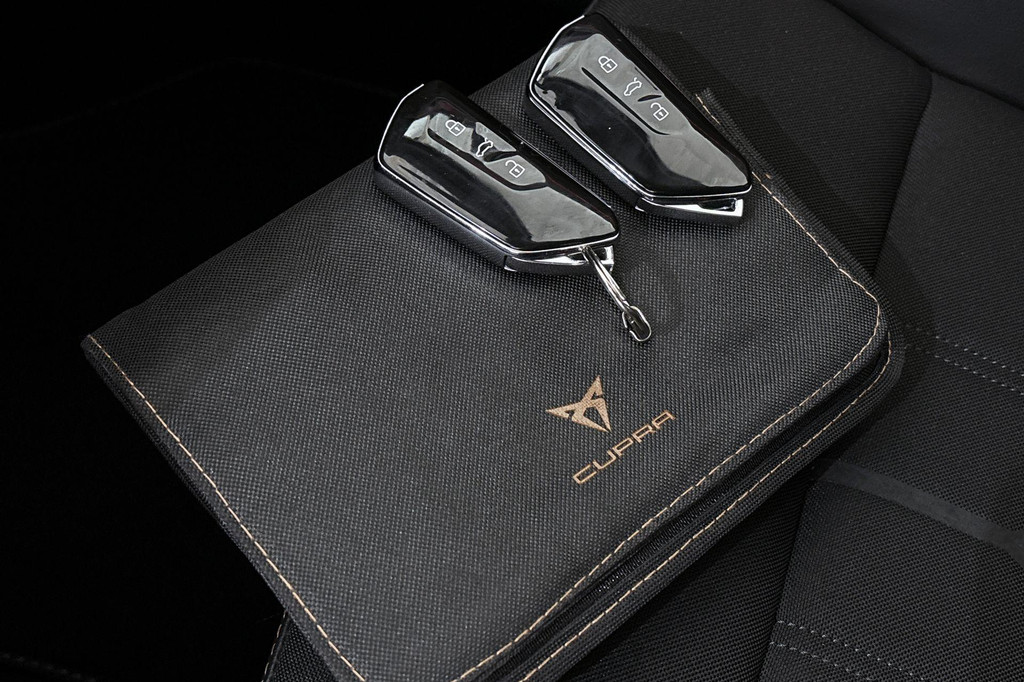 CUPRA Leon (KZJ22V) met abonnement