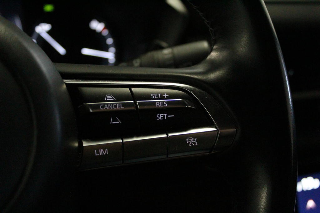Mazda MX-30 (N795DT) met abonnement