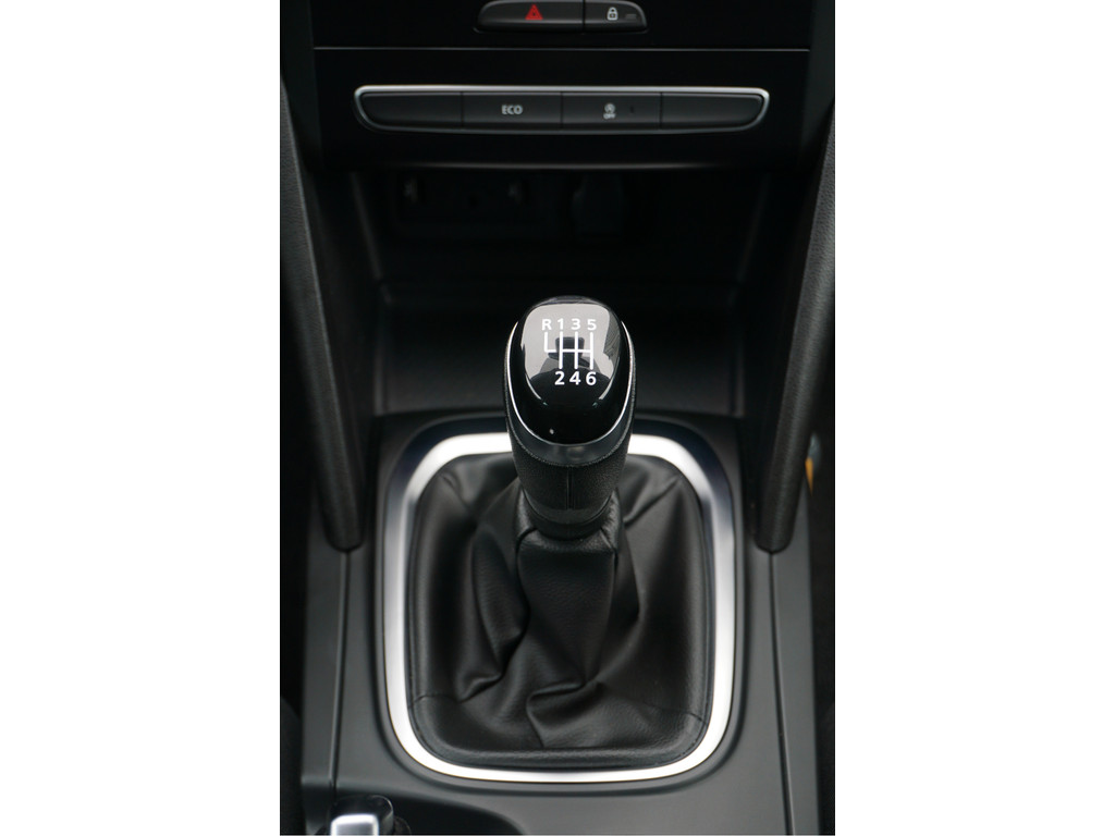 Renault MEGANE Estate (TG668F) met abonnement