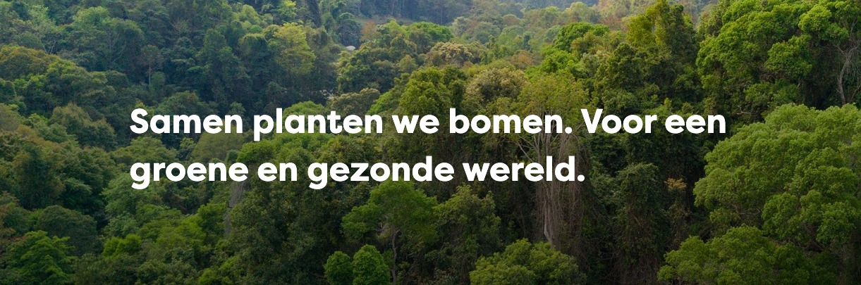 Samenwerking met Trees for All